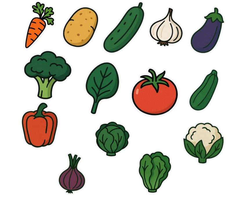 RufaStories Vegetable Fridge Magnets for Kids – Set of 14 | Educational Veggie Magnets for Toddlers