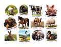 RufaStories Farm Animal Family Fridge Magnets for Kids – Set of 12 | Animal & Baby Learning Magnets