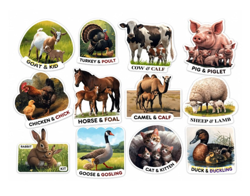 RufaStories Farm Animal Family Fridge Magnets for Kids – Set of 12 | Animal & Baby Learning Magnets